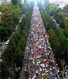 Maraton 2012