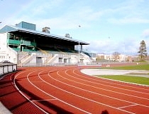 morton_stadium